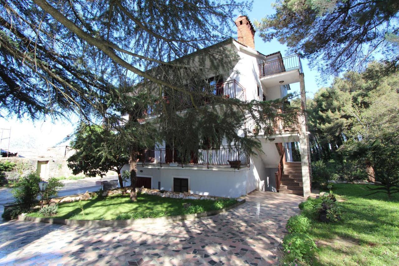 Apartment Clementina Višnjan Buitenkant foto